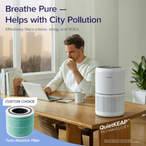 Levoit Core 300 Air Purifier Review | Best Budget Air Purifier for Allergies